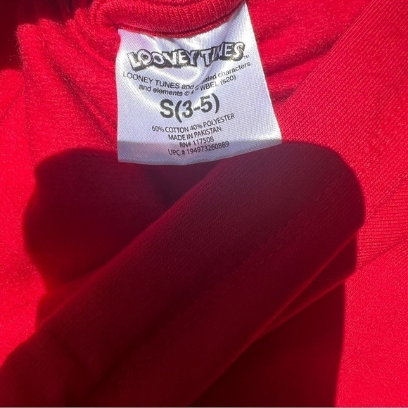 Tweety Bird Hoodie - Picture 4 of 8